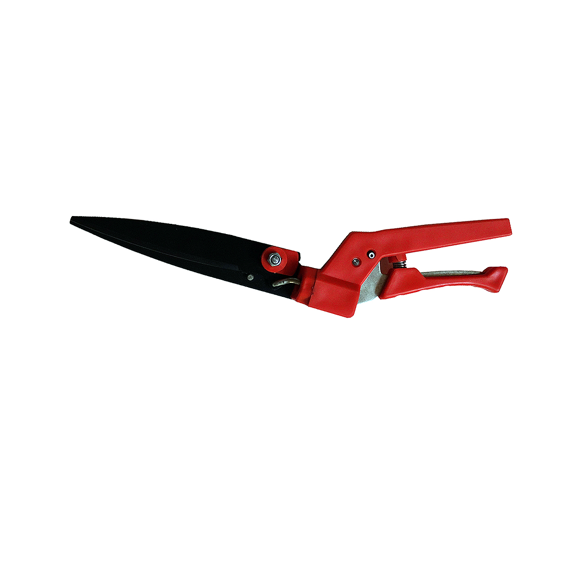 img-placeholder